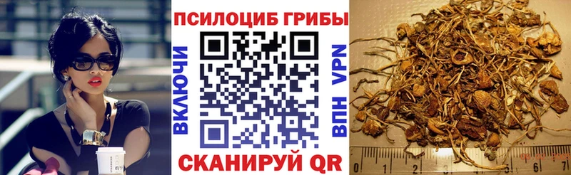 Галлюциногенные грибы Psilocybe  даркнет сайт  Гаврилов Посад 