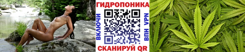 МАРИХУАНА White Widow мега зеркало Гаврилов Посад